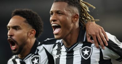Botafogo goleia Cruzeiro na estreia do Brasileirão Botafogo goleia Cruzeiro na estreia do Brasileirão