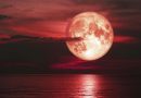 Lua de Morango iluminará o Brasil nesta segunda-feira Lua de Morango iluminará o Brasil nesta segunda-feira