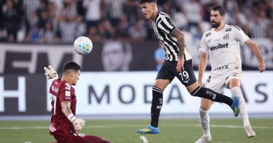 Botafogo vence o Santos e encerra jejum no Brasileirão Botafogo vence o Santos e encerra jejum no Brasileirão