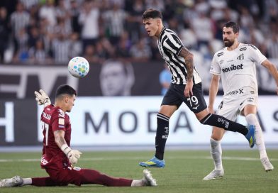 Botafogo vence o Santos e encerra jejum no Brasileirão Botafogo vence o Santos e encerra jejum no Brasileirão