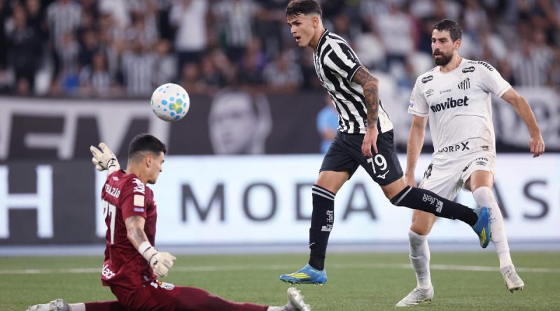 Botafogo vence o Santos e encerra jejum no Brasileirão Botafogo vence o Santos e encerra jejum no Brasileirão