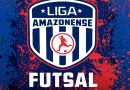 Goleada do Central FC sobre o Recanto agita artilharia da categoria sub-14 da Liga Amazonense de Futsal Goleada do Central FC sobre o Recanto agita artilharia da categoria sub-14 da Liga Amazonense de Futsal